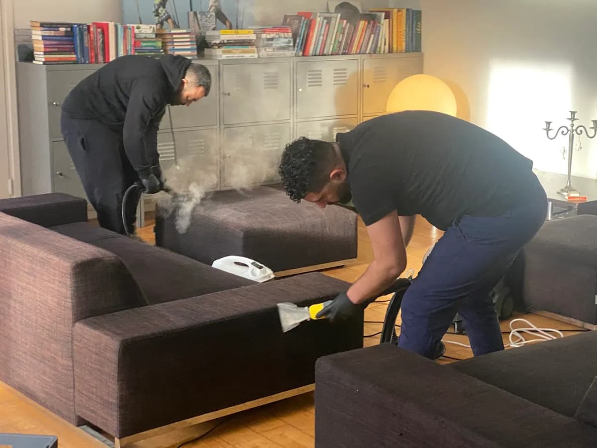 Especialista limpiando la tapicería de una silla